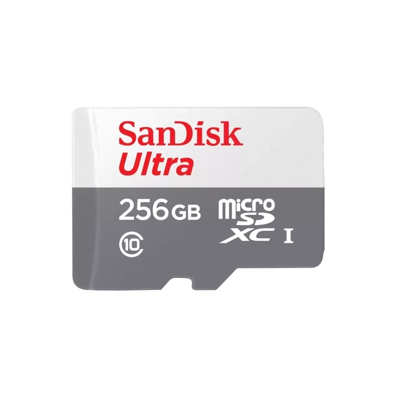 SDSQUNR-256G-GN6TA-1